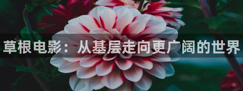 北京南瓜