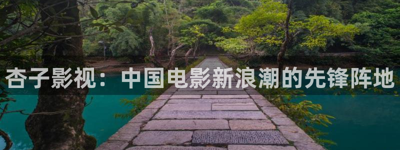 南瓜电影免费看电影：杏子影视：中国电影新浪潮的先锋阵地