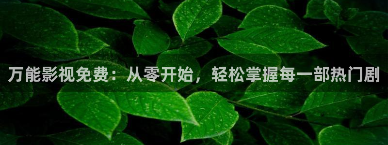 电影南瓜：万能影视免费：从零开始，轻松掌握每一部热门剧