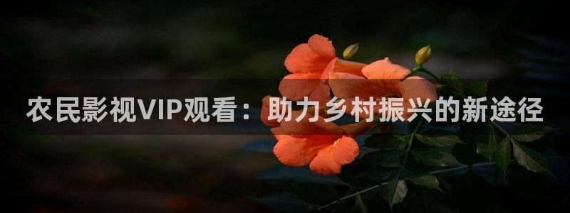南瓜影视官网