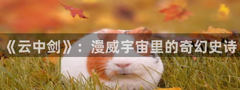 南瓜电影.
