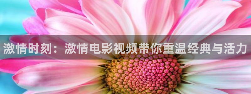 南瓜影院伦理：激情时刻：激情电影视频带你重温经典与活力