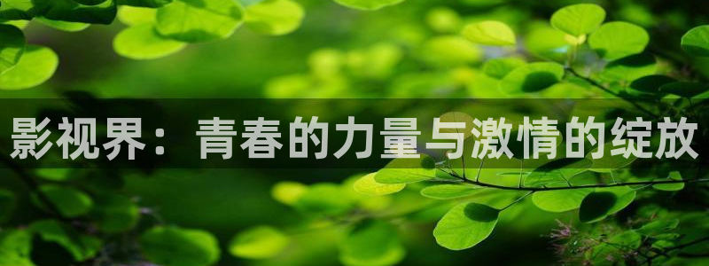 南瓜影视2020版